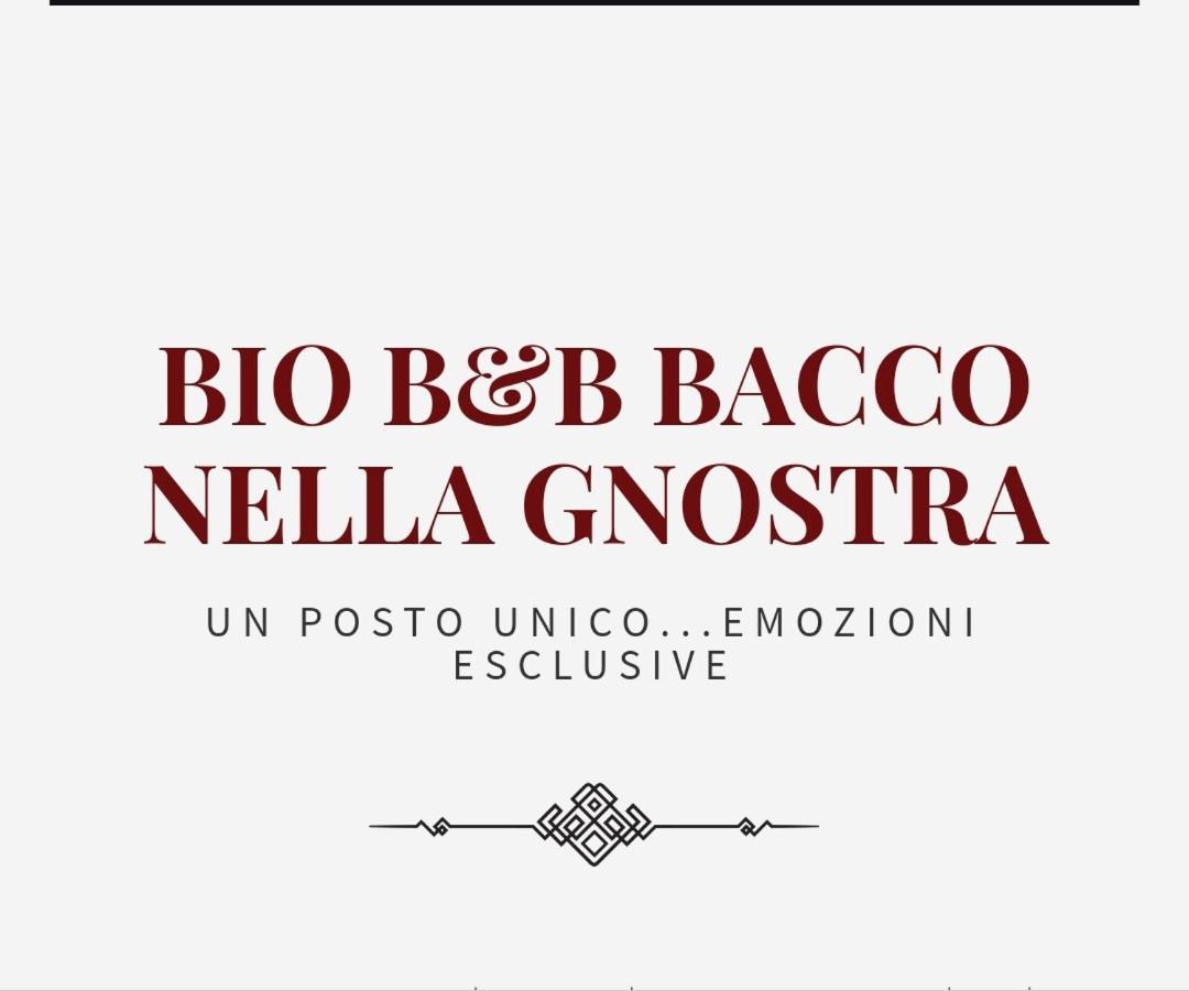 Bio B&B Bacco Nella Gnostra Altamura Exteriör bild